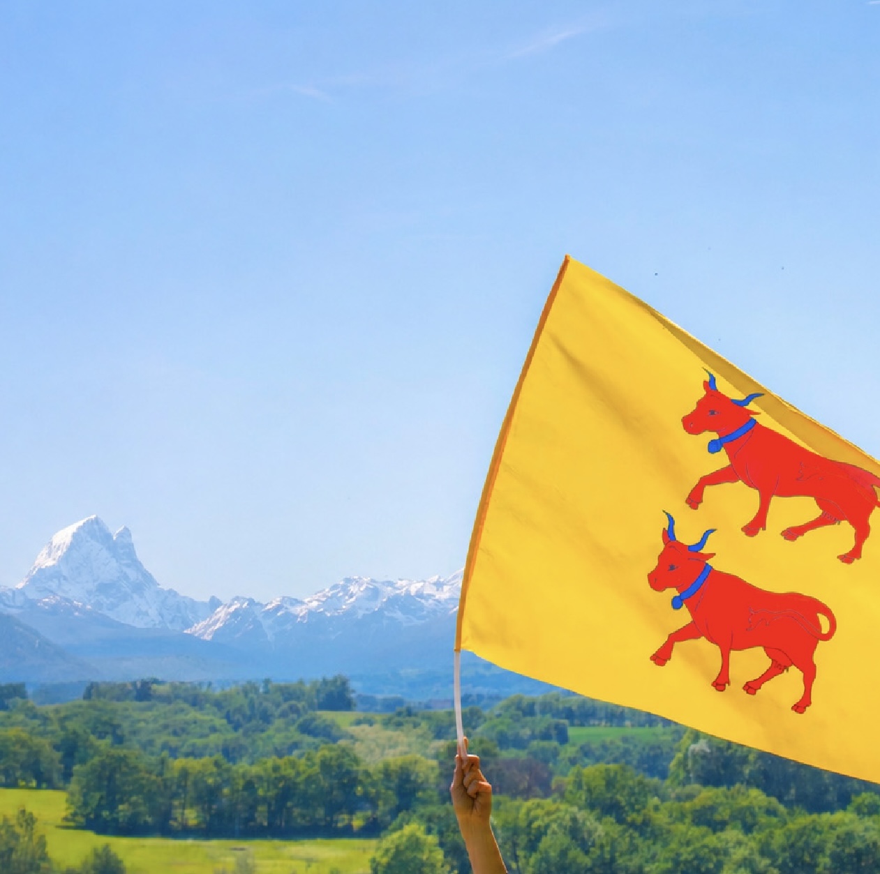 Paysage du Béarn avec le drapeau